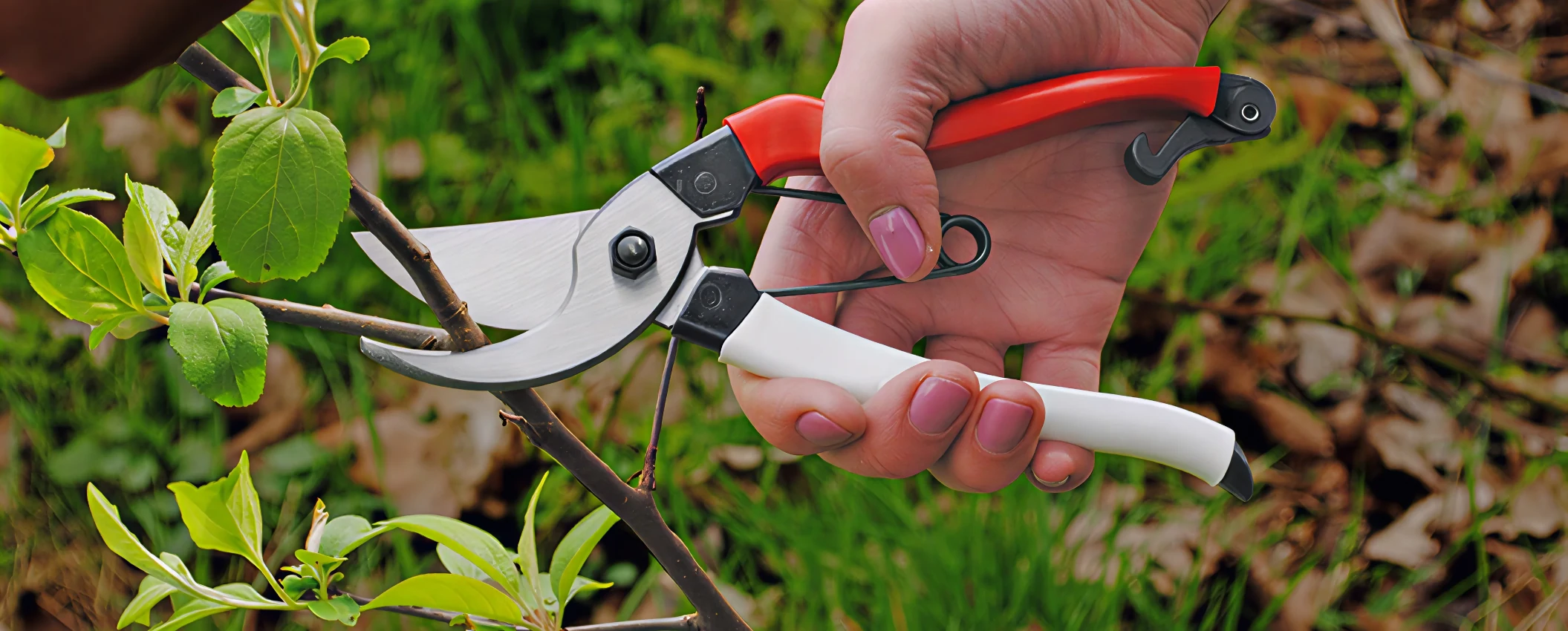 Okatsune_main-final.webp 409